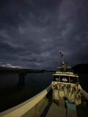 IMG_4186.jpg